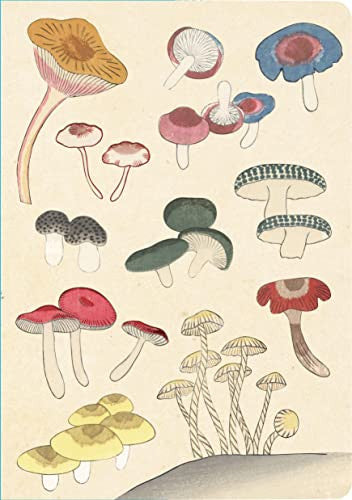 Healing Mushrooms Paperback Journal