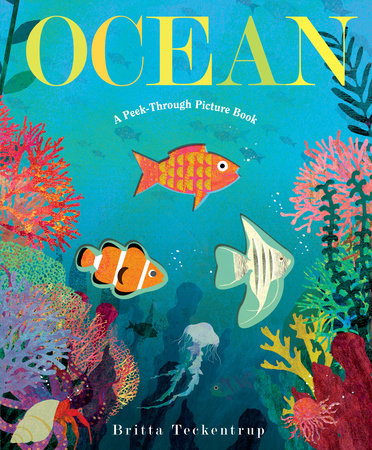 OCEAN: A Peek Through Picture Book