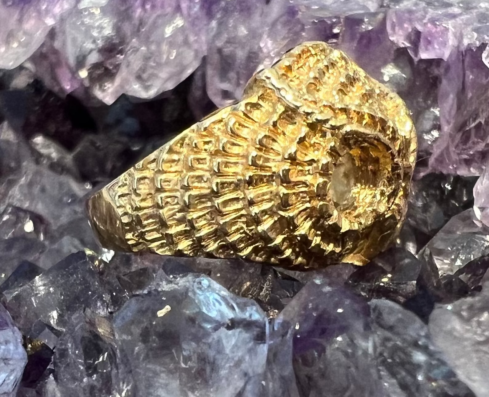 A side view of the Athena owl ring, showing off the feather detailing going around the sides, as well as the feathered eye feature. Against an amethyst crystal background. 