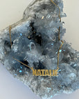 "NATALIE" Necklace